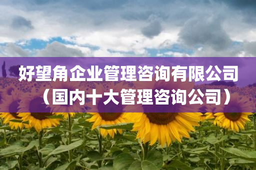 好望角企业管理咨询有限公司（国内十大管理咨询公司）