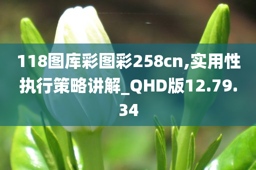 118图库彩图彩258cn,实用性执行策略讲解_QHD版12.79.34