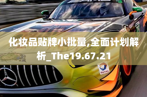 化妆品贴牌小批量,全面计划解析_The19.67.21