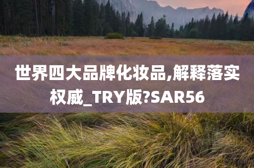 世界四大品牌化妆品,解释落实权威_TRY版?SAR56