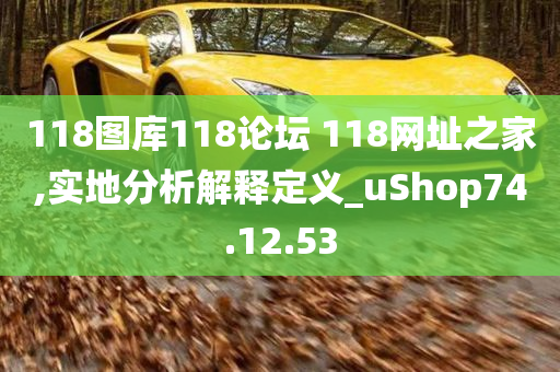 118图库118论坛 118网址之家,实地分析解释定义_uShop74.12.53