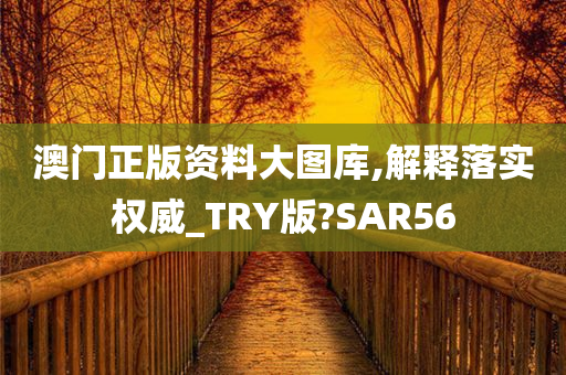 澳门正版资料大图库,解释落实权威_TRY版?SAR56