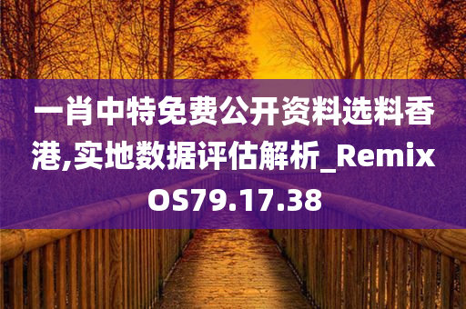 一肖中特免费公开资料选料香港,实地数据评估解析_RemixOS79.17.38