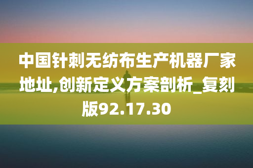 中国针刺无纺布生产机器厂家地址,创新定义方案剖析_复刻版92.17.30