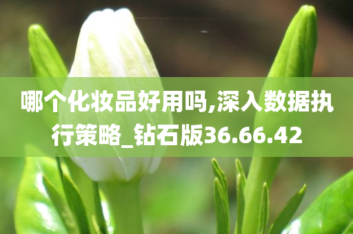 哪个化妆品好用吗,深入数据执行策略_钻石版36.66.42