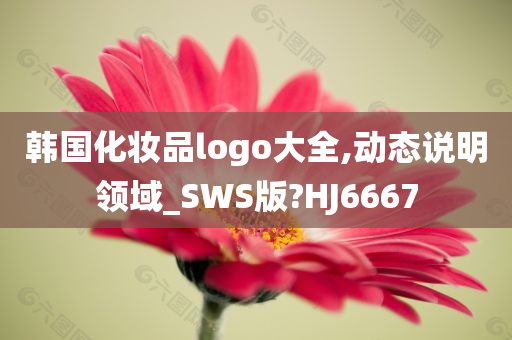 韩国化妆品logo大全,动态说明领域_SWS版?HJ6667