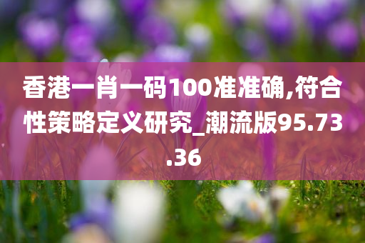 香港一肖一码100准准确,符合性策略定义研究_潮流版95.73.36