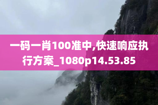 一码一肖100准中,快速响应执行方案_1080p14.53.85