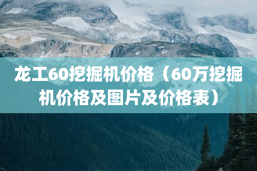 龙工60挖掘机价格（60万挖掘机价格及图片及价格表）