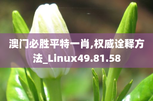 澳门必胜平特一肖,权威诠释方法_Linux49.81.58