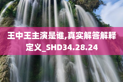 王中王主演是谁,真实解答解释定义_SHD34.28.24