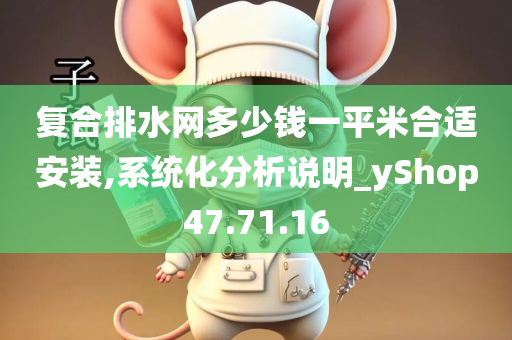 复合排水网多少钱一平米合适安装,系统化分析说明_yShop47.71.16