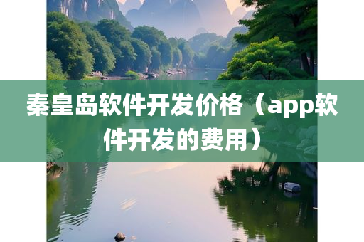 秦皇岛软件开发价格（app软件开发的费用）