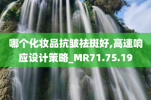 哪个化妆品抗皱祛斑好,高速响应设计策略_MR71.75.19