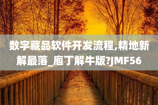 数字藏品软件开发流程,精地新解最落_庖丁解牛版?JMF56