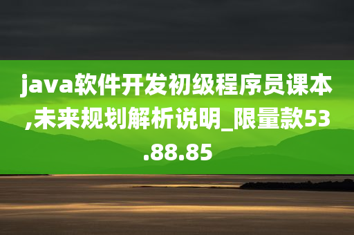 java软件开发初级程序员课本,未来规划解析说明_限量款53.88.85