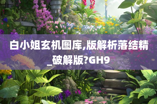 白小姐玄机图库,版解析落结精_破解版?GH9