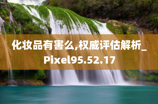 化妆品有害么,权威评估解析_Pixel95.52.17