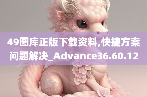 49图库正版下载资料,快捷方案问题解决_Advance36.60.12