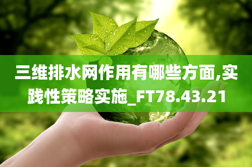 三维排水网作用有哪些方面,实践性策略实施_FT78.43.21