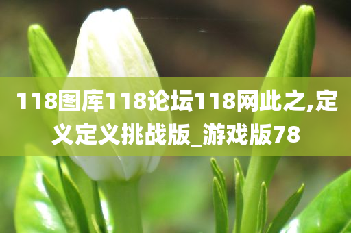 118图库118论坛118网此之,定义定义挑战版_游戏版78