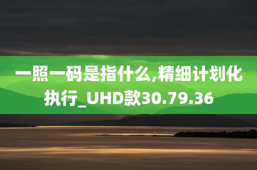 一照一码是指什么,精细计划化执行_UHD款30.79.36