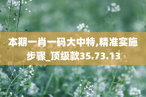 本期一肖一码大中特,精准实施步骤_顶级款35.73.13