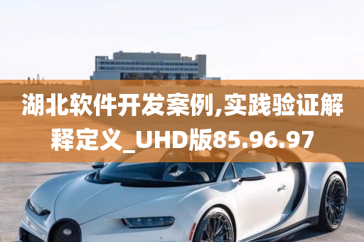 湖北软件开发案例,实践验证解释定义_UHD版85.96.97