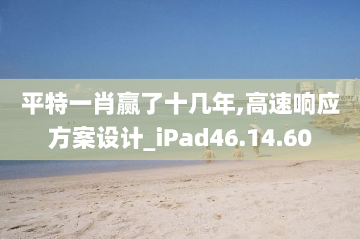 平特一肖赢了十几年,高速响应方案设计_iPad46.14.60