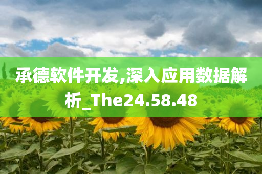 承德软件开发,深入应用数据解析_The24.58.48