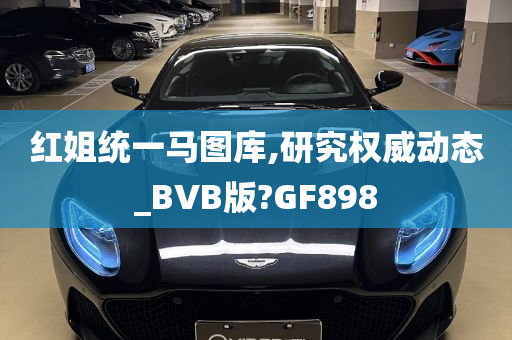 红姐统一马图库,研究权威动态_BVB版?GF898