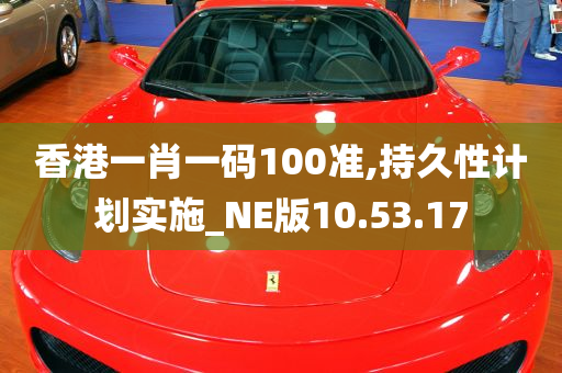 香港一肖一码100准,持久性计划实施_NE版10.53.17