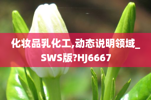 化妆品乳化工,动态说明领域_SWS版?HJ6667