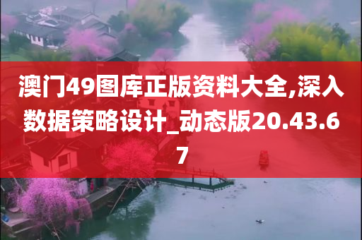 澳门49图库正版资料大全,深入数据策略设计_动态版20.43.67