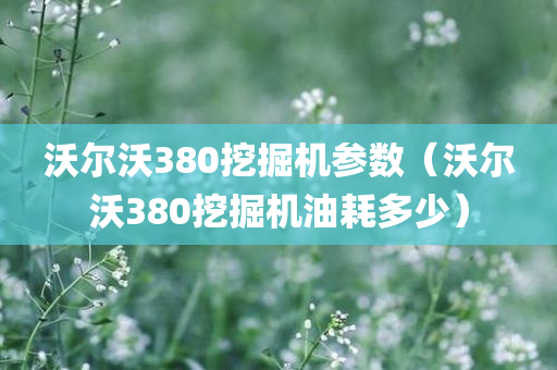 沃尔沃380挖掘机参数（沃尔沃380挖掘机油耗多少）