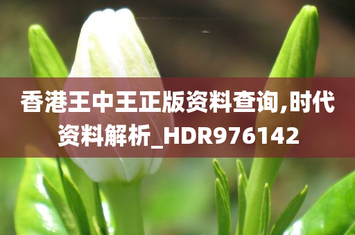 香港王中王正版资料查询,时代资料解析_HDR976142