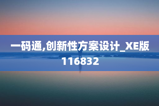 一码通,创新性方案设计_XE版116832