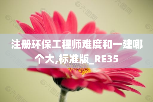 注册环保工程师难度和一建哪个大,标准版_RE35