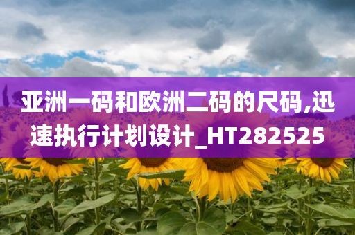 亚洲一码和欧洲二码的尺码,迅速执行计划设计_HT282525