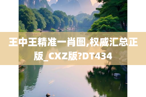 王中王精准一肖图,权威汇总正版_CXZ版?DT434