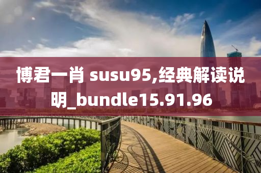 博君一肖 susu95,经典解读说明_bundle15.91.96