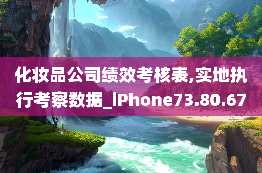 化妆品公司绩效考核表,实地执行考察数据_iPhone73.80.67