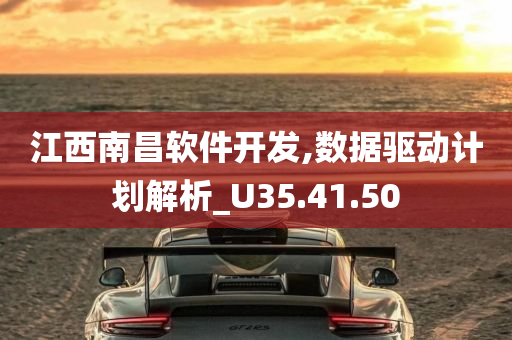 江西南昌软件开发,数据驱动计划解析_U35.41.50