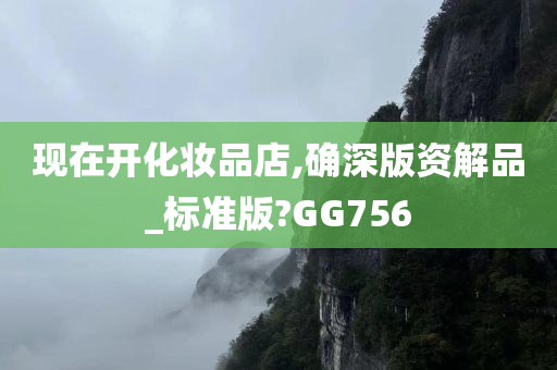 现在开化妆品店,确深版资解品_标准版?GG756