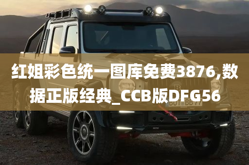 红姐彩色统一图库免费3876,数据正版经典_CCB版DFG56