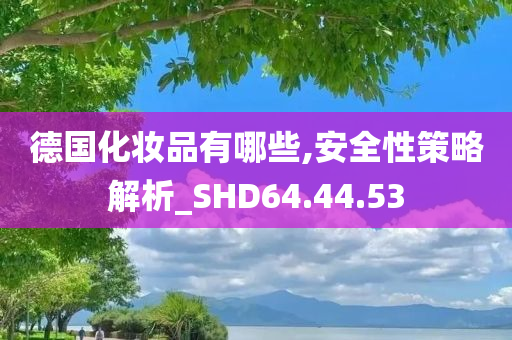 德国化妆品有哪些,安全性策略解析_SHD64.44.53