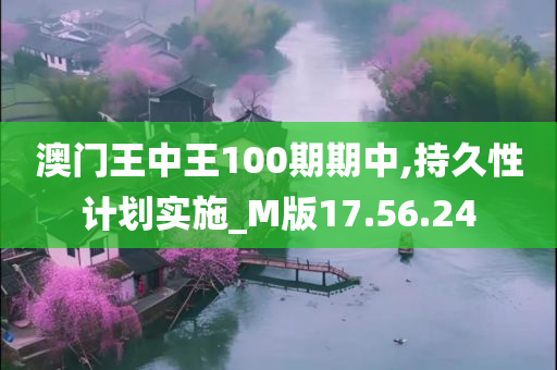 澳门王中王100期期中,持久性计划实施_M版17.56.24