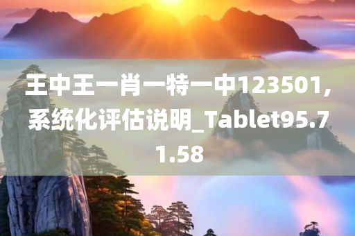 王中王一肖一特一中123501,系统化评估说明_Tablet95.71.58