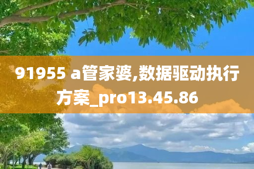 91955 a管家婆,数据驱动执行方案_pro13.45.86