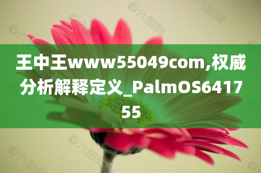 王中王www55049com,权威分析解释定义_PalmOS641755